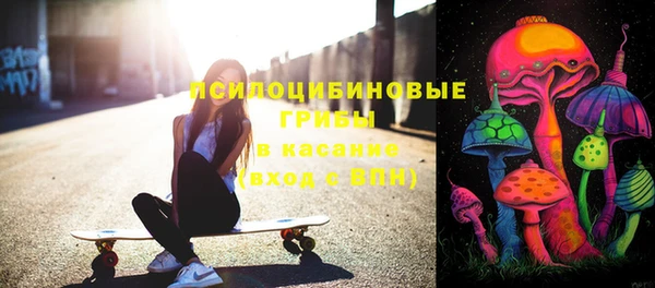 твердый Володарск