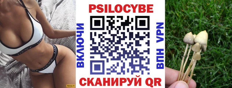 Псилоцибиновые грибы MAGIC MUSHROOMS как найти наркотики Славянск-на-Кубани